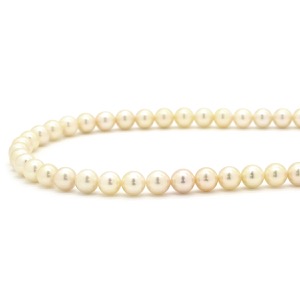 ネックレス シルバー ホワイト ホワイトパール アコヤパール 真珠 あこやパール silver シルバー ラウンドシェイプ 中古