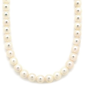 TASAKI ネックレス パール ホワイト 真珠 タサキ パール 一連 SV シルバー  中古